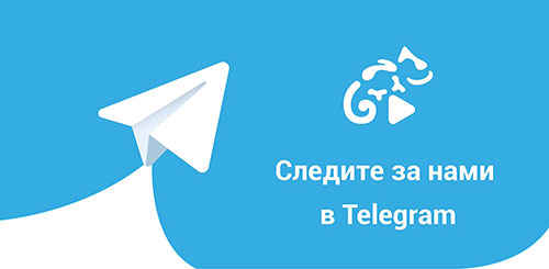 канал в telegram 63.spravo4ki-z.ru
